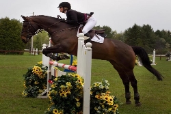 SLIGO CLOVER BOY