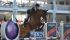 AMOUR ALRIC Z Palm Beach Masters